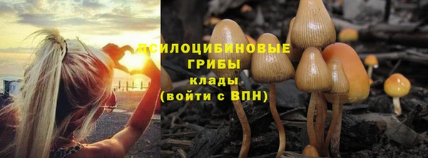 дмт Бугульма