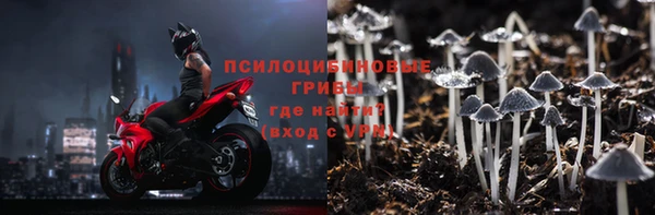 дмт Бугульма
