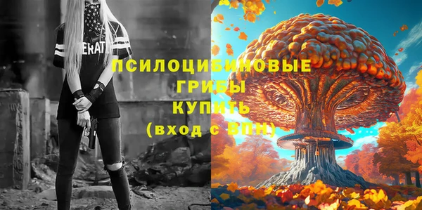 спиды Бронницы
