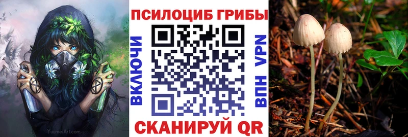 что такое наркотик  Балашиха  Галлюциногенные грибы прущие грибы 